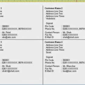 Party’s Address Book – In Lable & Column Format